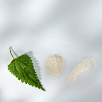 KLORANE CHAMPU MASCARILLA 2 EN 1 POLVO A LA ORTIGA Y A LA ARCILLA 8 SOBRES 3 G