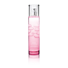 CAUDALIE AGUA REFRESCANTE ROSE DE VIGNE 50 ML
